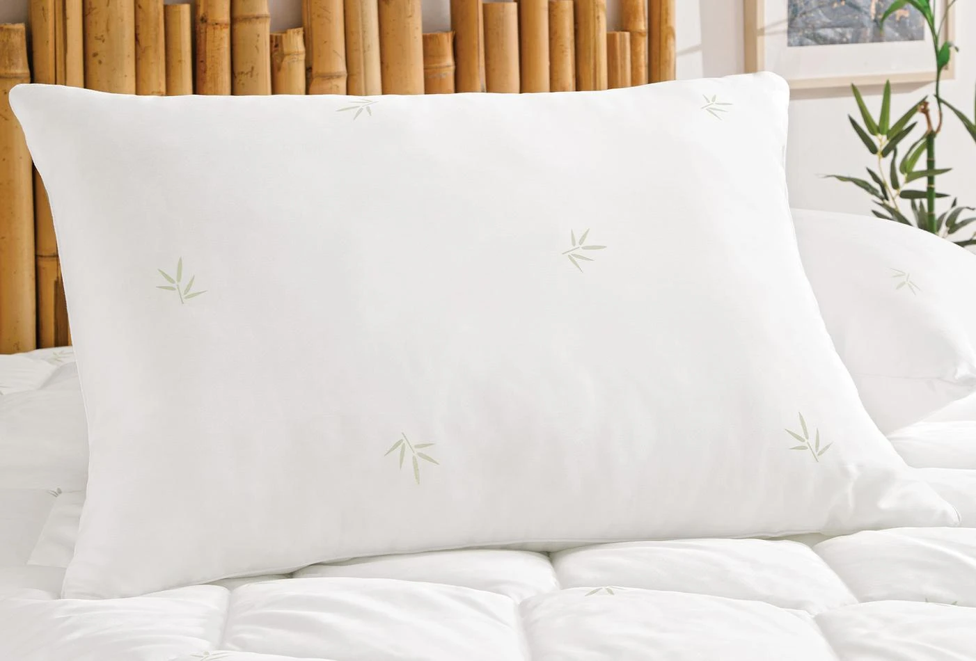 75c6d219-c912-4cdb-8d89-29b57bcba424_size1684x950